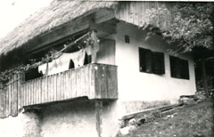 eika image